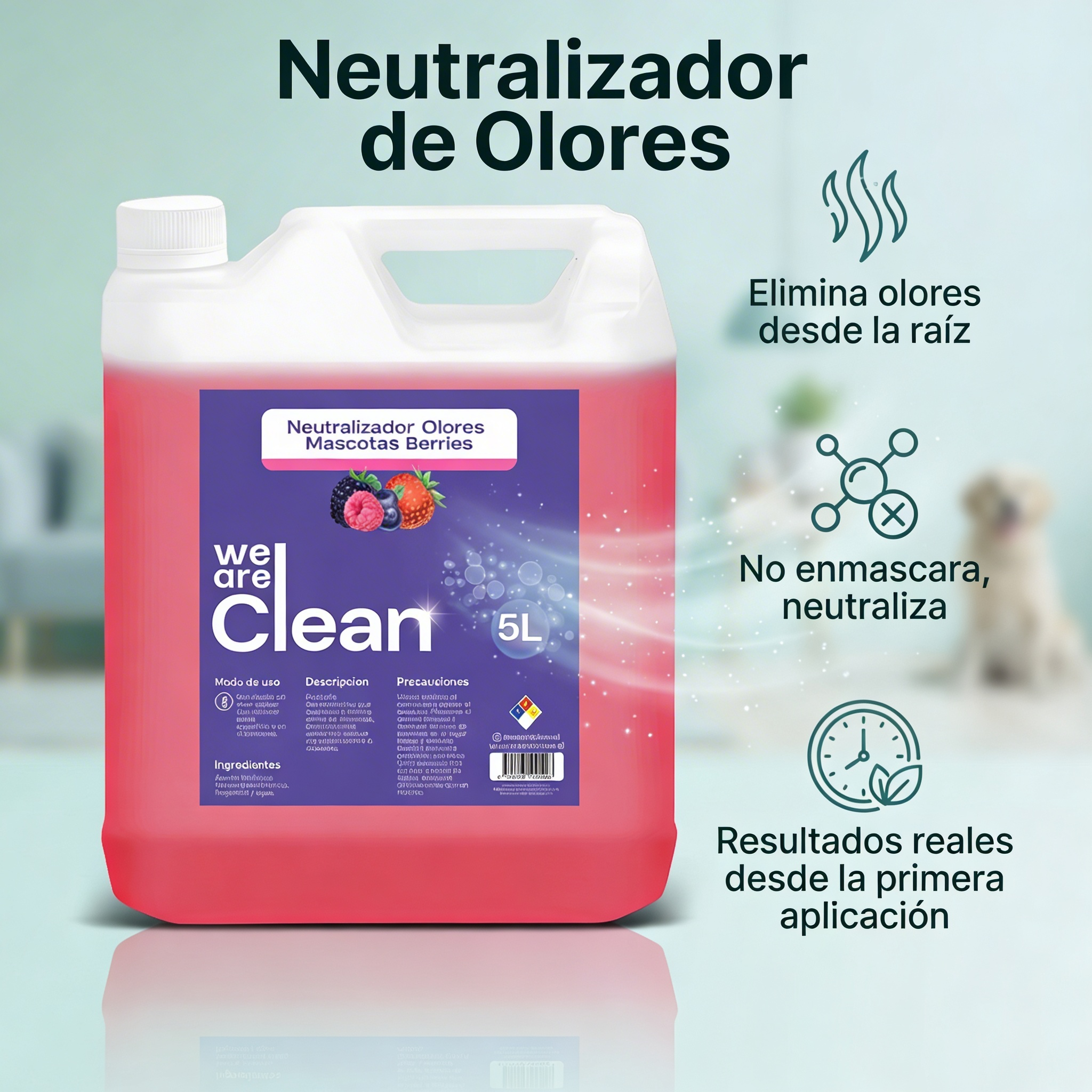 Pack Hogar Sin Olores: Neutralizador + Desinfectante + Limpia Pisos + Envío GRATIS Reg Metropolitana