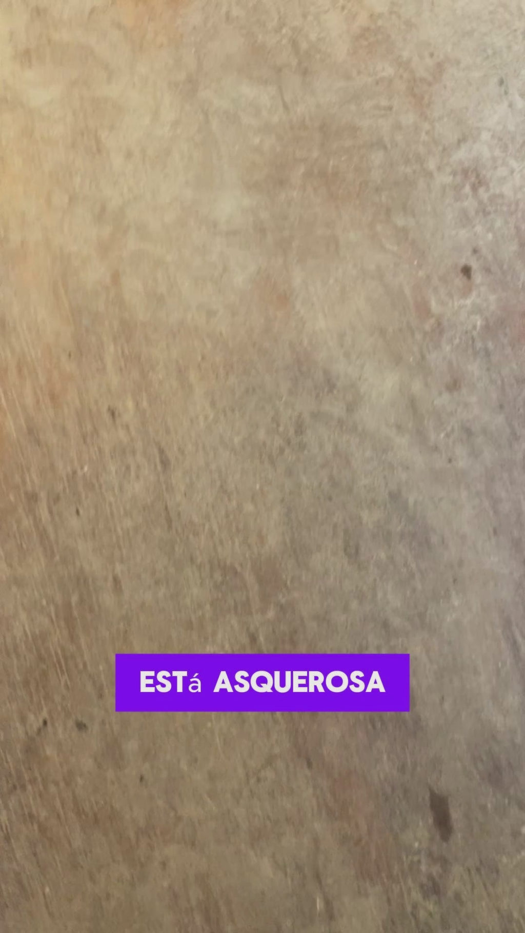 Limpiador de Pisos Ultra